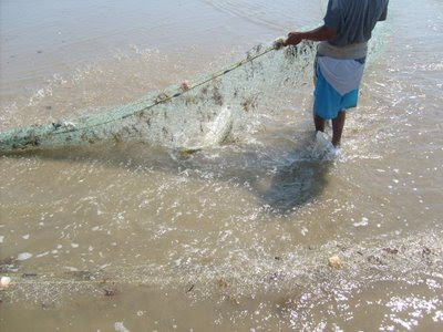 300 metros de trasmallo incautado por pesca ilegal en el río