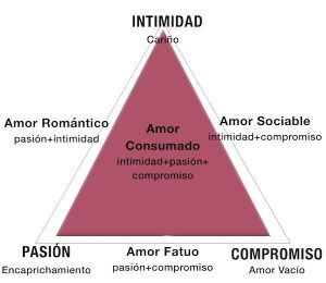 Teoría triangular del amo